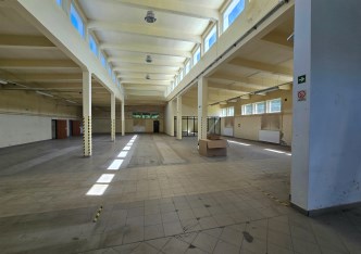 hala na wynajem - Piotrków Trybunalski