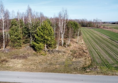 działka na sprzedaż - Paradyż, Wójcin
