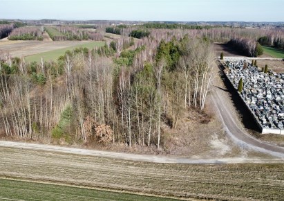 działka na sprzedaż - Paradyż, Wójcin
