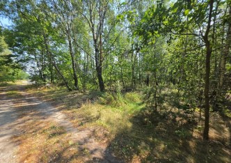 działka na sprzedaż - Paradyż, Wójcin