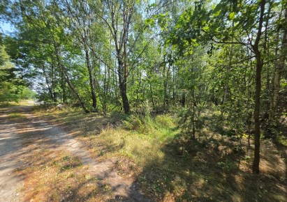 działka na sprzedaż - Paradyż, Wójcin