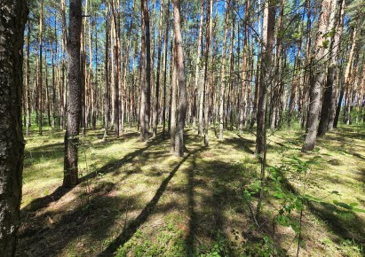 działka na sprzedaż - Rozprza, Mierzyn