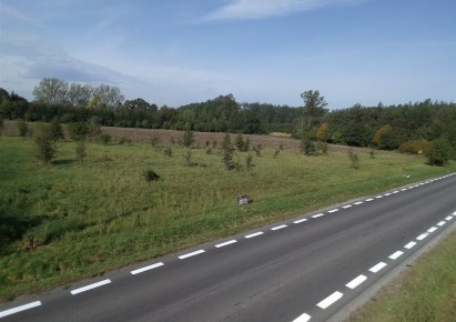 działka na sprzedaż - Moszczenica, Raków