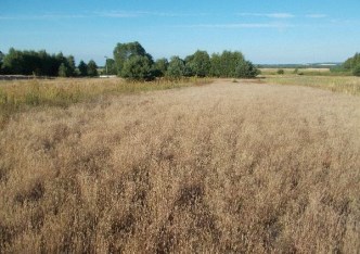 działka na sprzedaż - Ręczno, Wielkopole