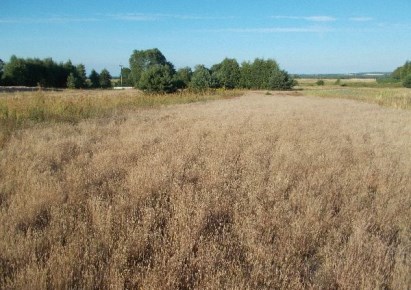 działka na sprzedaż - Ręczno, Wielkopole
