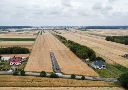 działka na sprzedaż - Wola Krzysztoporska, Bujny