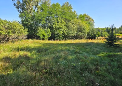 działka na sprzedaż - Ręczno, Stobnica-Piła
