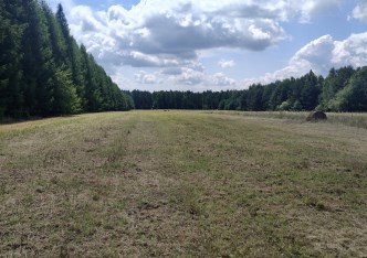 działka na sprzedaż - Paradyż, Honoratów