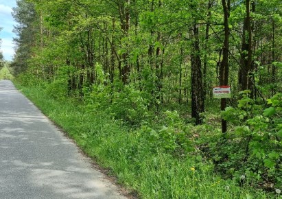 działka na sprzedaż - Mniszków, Julianów