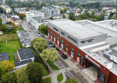 lokal na wynajem - Bełchatów