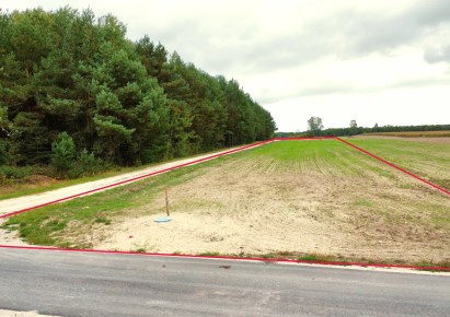 działka na sprzedaż - Żarnów, Skumros