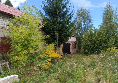 działka na sprzedaż - Drużbice, Wadlew