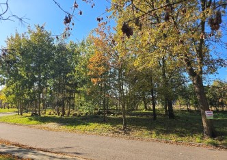 działka na sprzedaż - Piotrków Trybunalski, Czesława Miłosza