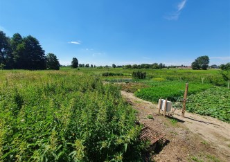działka na sprzedaż - Piotrków Trybunalski, Kleszcz