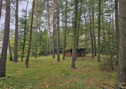 działka na sprzedaż - Tuszyn (gw), Bądzyń