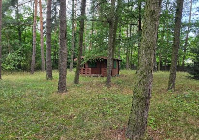 działka na sprzedaż - Tuszyn (gw), Bądzyń