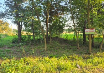 działka na sprzedaż - Sulejów (gw), Witów-Kolonia