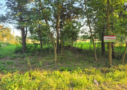 działka na sprzedaż - Sulejów (gw), Witów-Kolonia