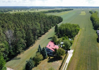 działka na sprzedaż - Sulejów, Podwłodzimierzów
