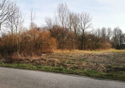 działka na sprzedaż - Rozprza, Stara Wieś