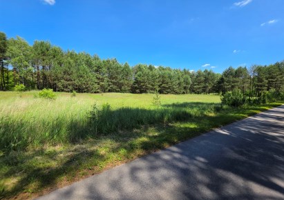 działka na sprzedaż - Aleksandrów, Ostrów