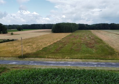 działka na sprzedaż - Bełchatów (gw), Adamów, Apolinów