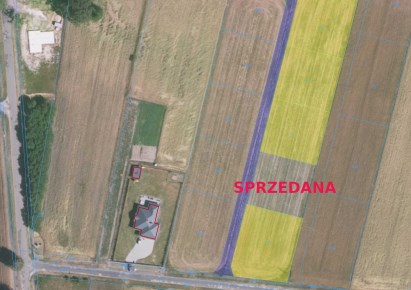 działka na sprzedaż - Bełchatów (gw), Adamów, Apolinów