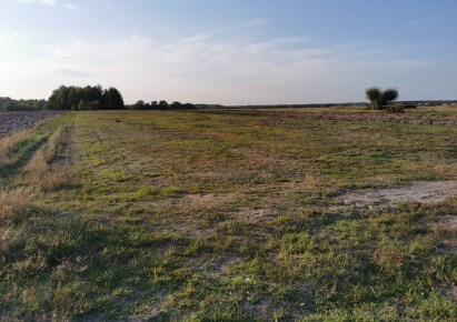 działka na sprzedaż - Rozprza