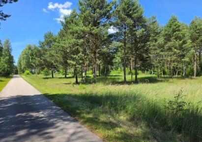 działka na sprzedaż - Aleksandrów, Ostrów