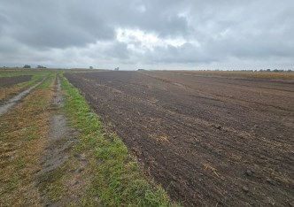 działka na sprzedaż - Piotrków Trybunalski, Grabska