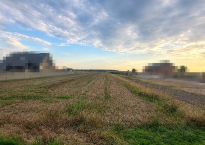 działka na sprzedaż - Sulejów (gw), Krzewiny