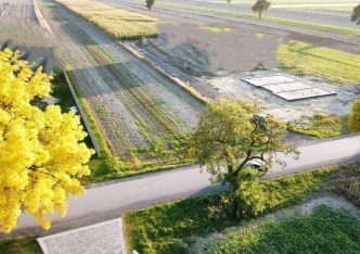działka na sprzedaż - Sulejów (gw), Krzewiny